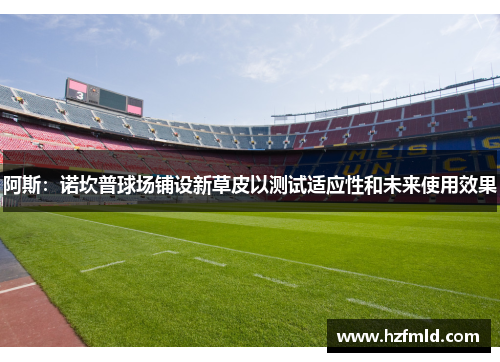 阿斯:诺坎普球场铺设新草皮以测试适应性和未来使用效果 阿斯:诺坎普球场铺设新草皮以测试适应性和未来使用效果