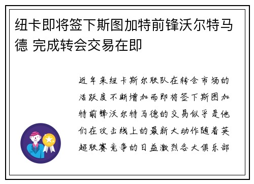 纽卡即将签下斯图加特前锋沃尔特马德 完成转会交易在即 纽卡即将签下斯图加特前锋沃尔特马德 完成转会交易在即